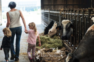 Rose à la Ferme de Haya - Petite Snorkys Photography