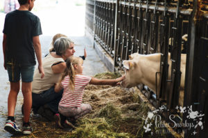 Rose à la Ferme de Haya - Petite Snorkys Photography