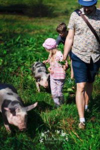 Rose à la Ferme de Haya - Petite Snorkys Photography