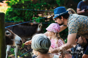 Rose à la Ferme de Haya - Petite Snorkys Photography