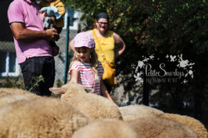 Rose à la Ferme de Haya - Petite Snorkys Photography