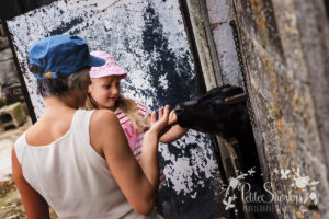 Rose à la Ferme de Haya - Petite Snorkys Photography