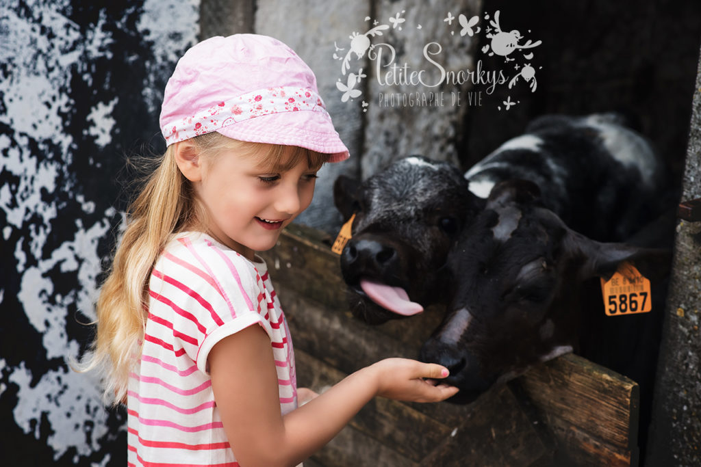 Rose à la Ferme de Haya - Petite Snorkys Photography