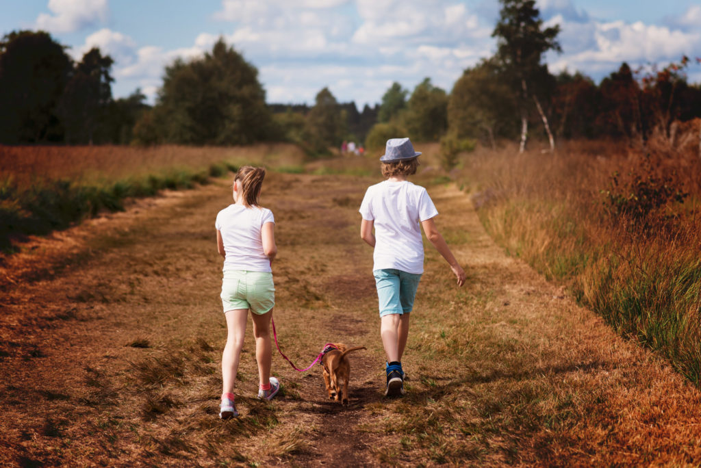 Balade en famille dans les Fagnes - Signal de Botrange