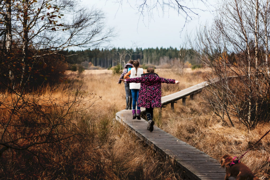 Petite balade dans les Fagnes près de Hockai