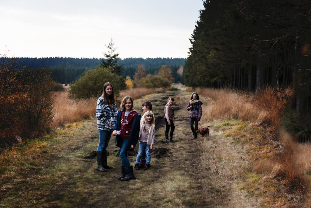 Petite balade dans les Fagnes près de Hockai