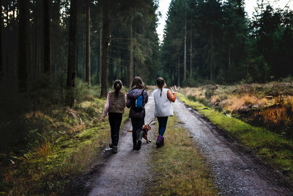 Petite balade dans les Fagnes près de Hockai