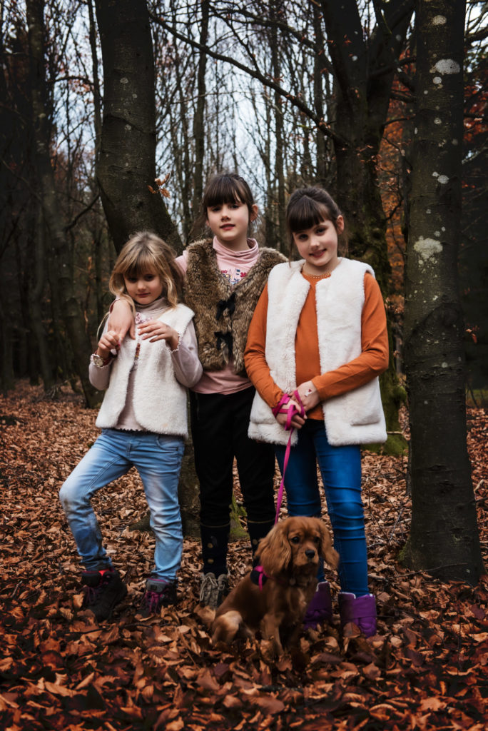 Petite balade dans les Fagnes près de Hockai