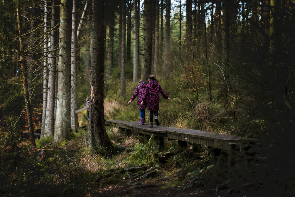 Petite balade dans les Fagnes près de Hockai