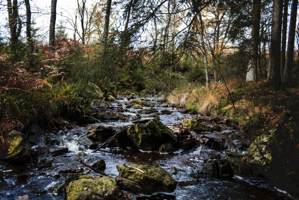 Petite balade dans les Fagnes près de Hockai