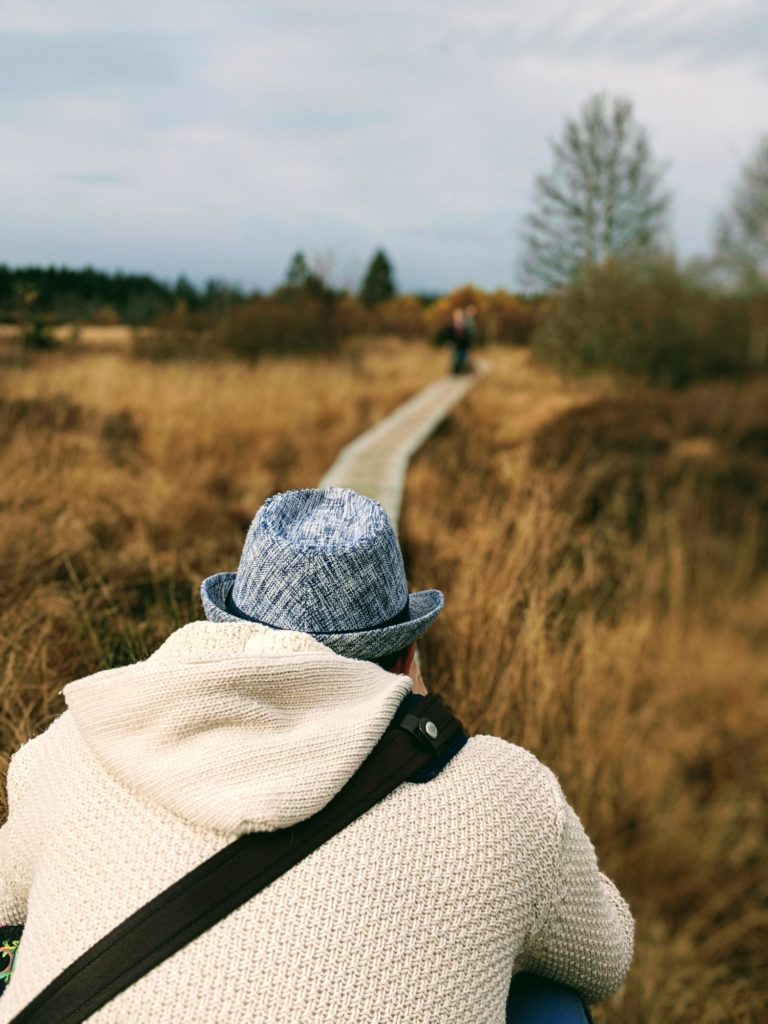 Petite balade dans les Fagnes près de Hockai