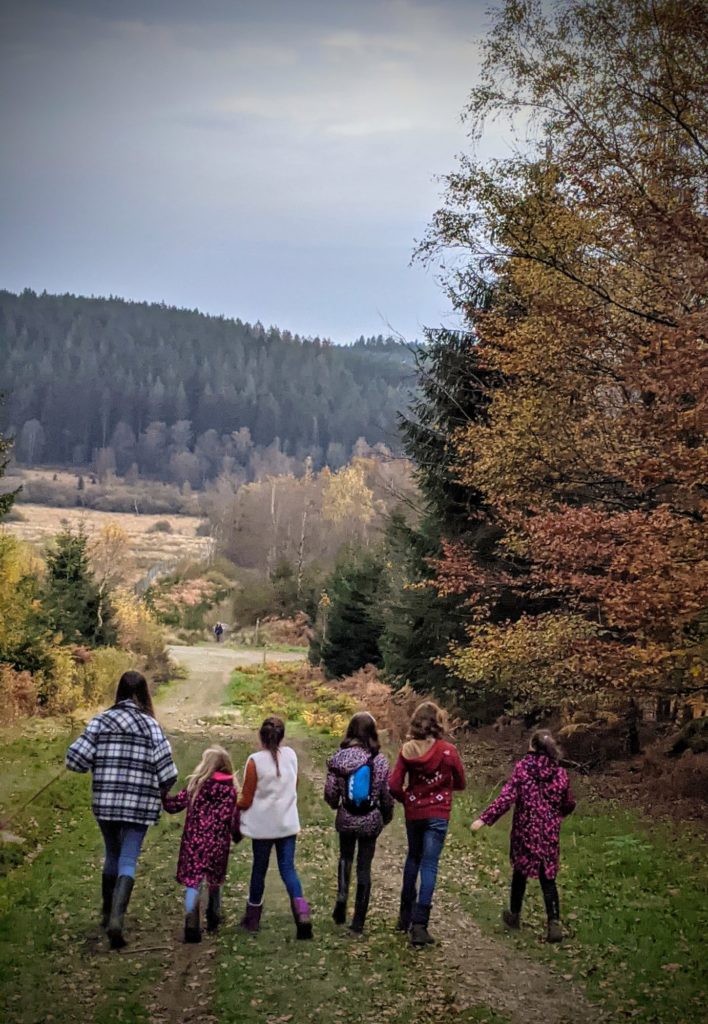 Petite balade dans les Fagnes près de Hockai