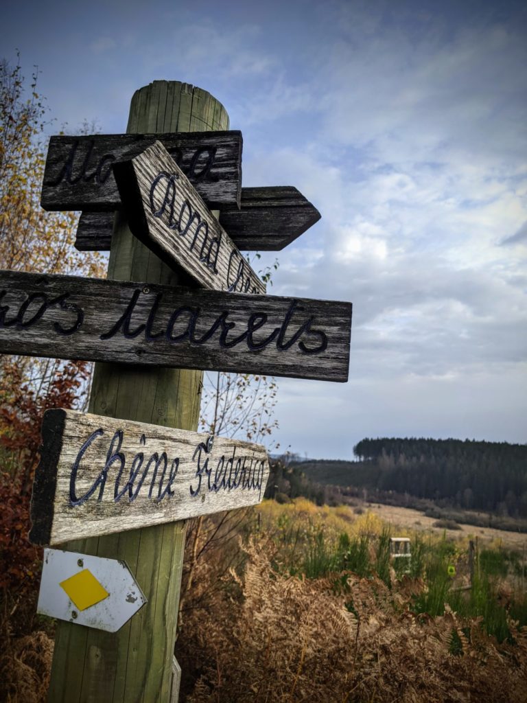 Petite balade dans les Fagnes près de Hockai