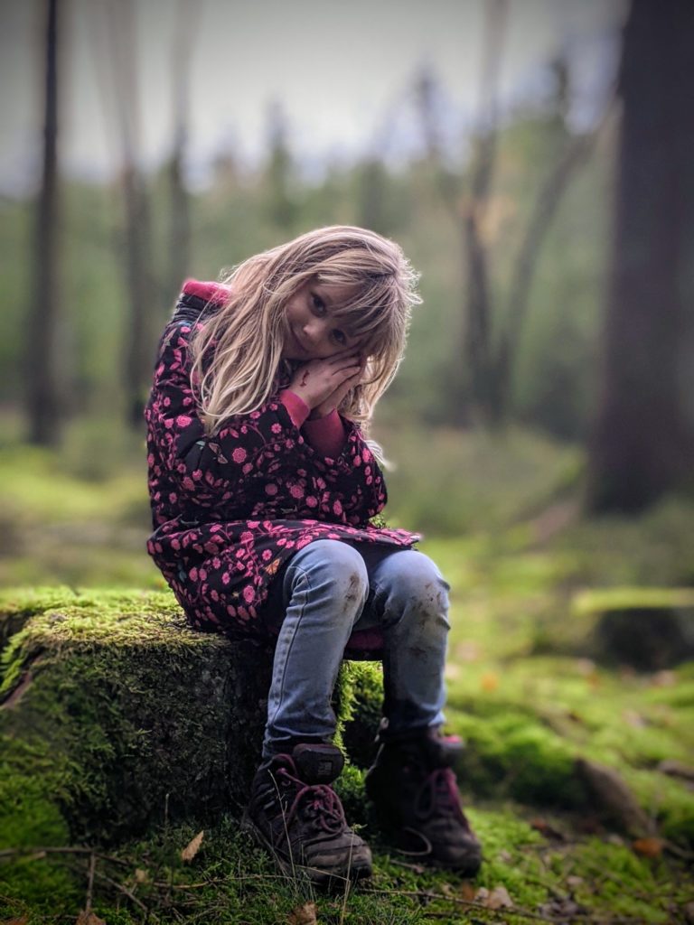 Petite balade dans les Fagnes près de Hockai