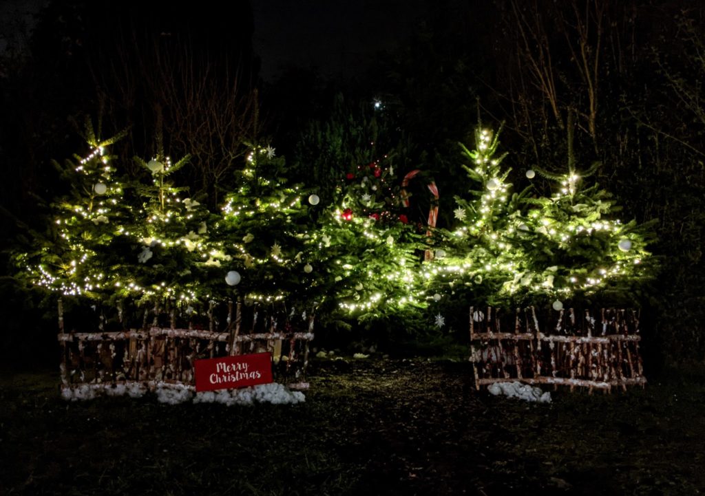 Petit souvenir du soir de la déco de Noël