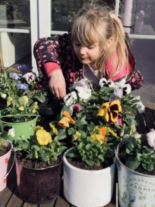 On prépare quelques jolies fleurs avec Papa