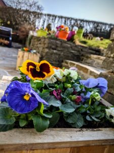 Et voilà de la couleur dans le jardin !