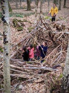 Petite balade dans les bois de Strivay