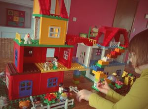 2015 operation duplo