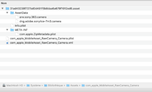 Ce serait ici que le MAC cible les éléments en lien avec les format RAW reconnus par OSX