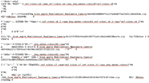 Le Nikon Z 6 2 est bien présent dans la liste des format RAW supporté