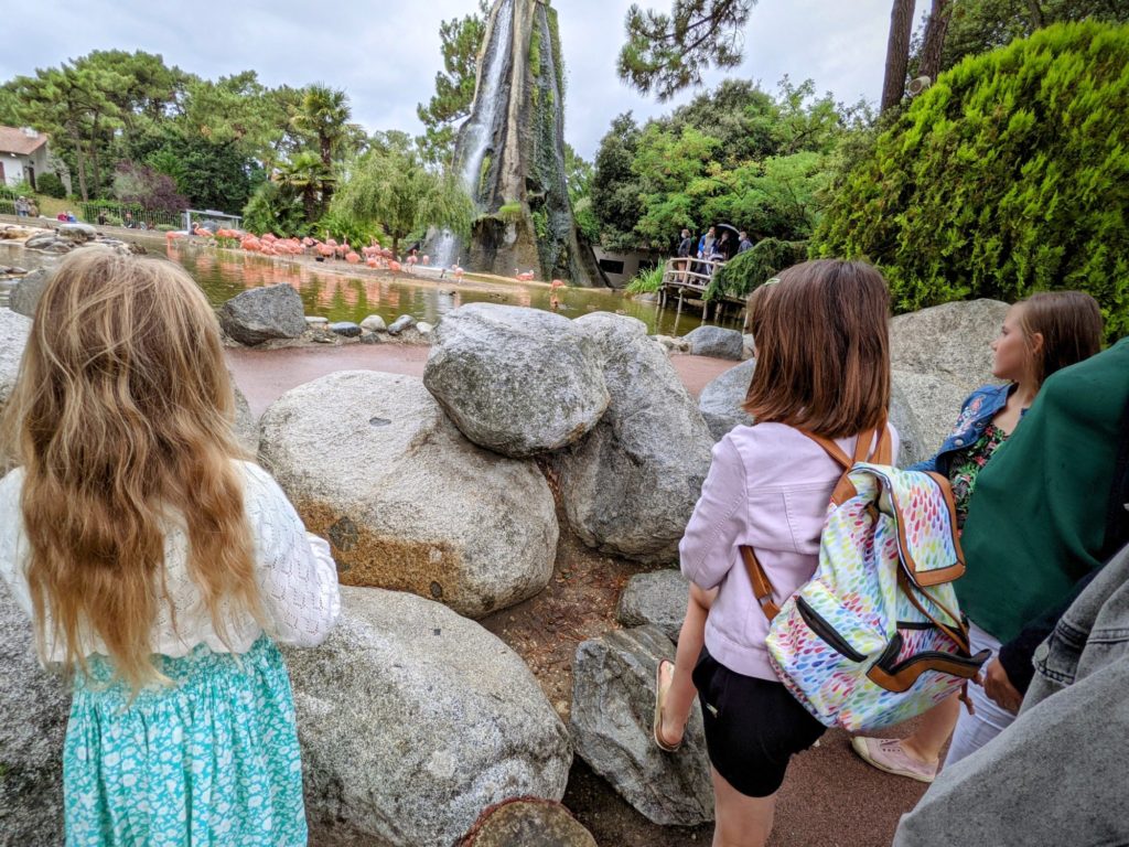 Le Zoo de la Palmyre