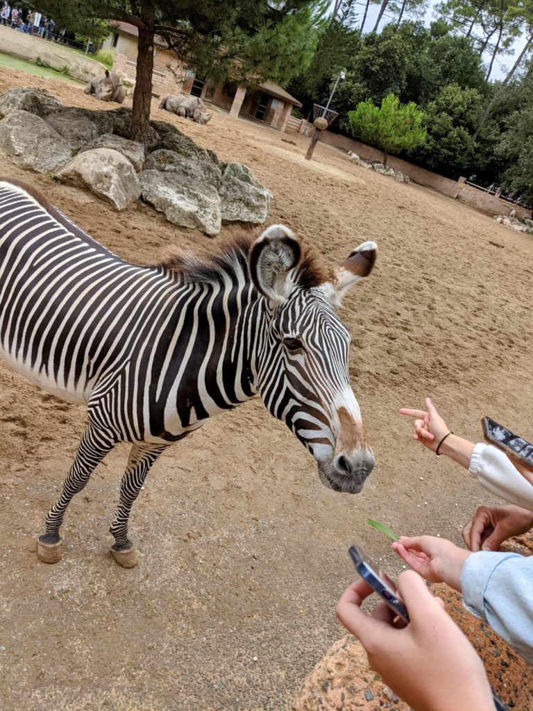 Le Zoo de la Palmyre