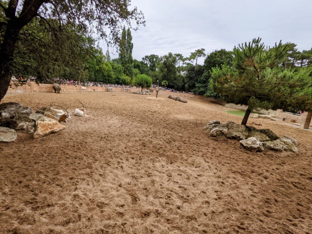 Le Zoo de la Palmyre