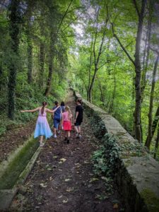 pxl 20210919 124254243.mp~2