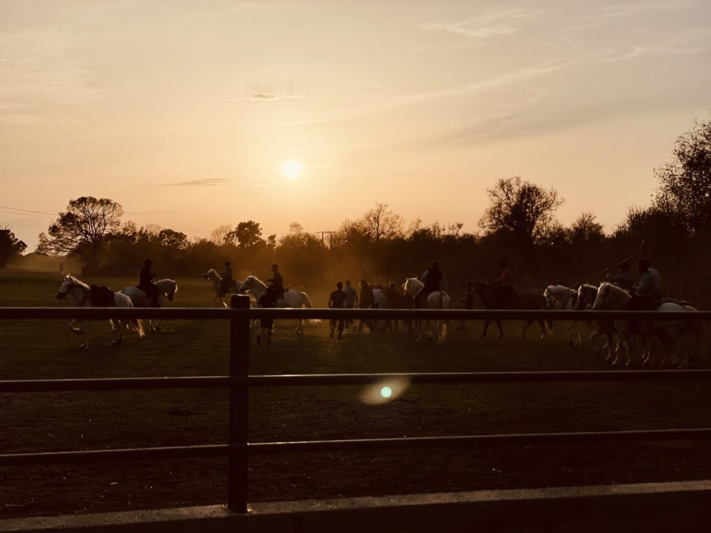 Soirée camarguaise au Mas de la Comtesse
