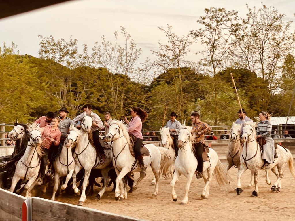 Soirée camarguaise au Mas de la Comtesse