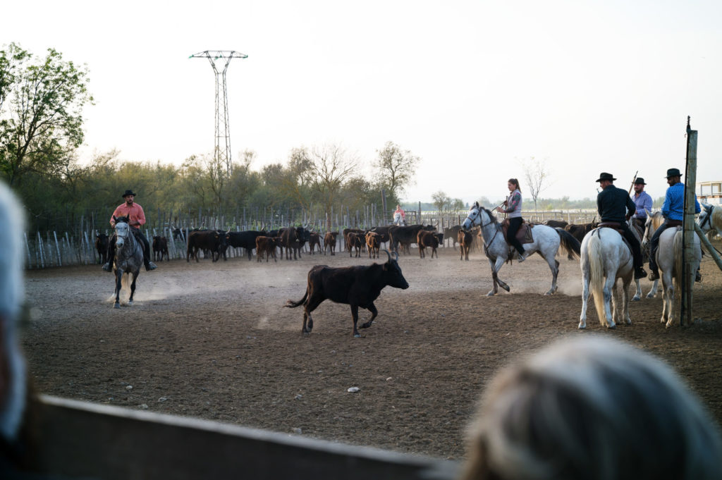 Soirée camarguaise au Mas de la Comtesse