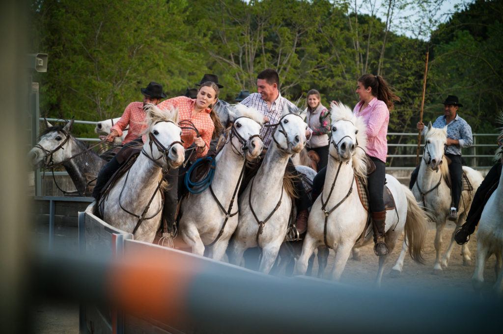 Soirée camarguaise au Mas de la Comtesse