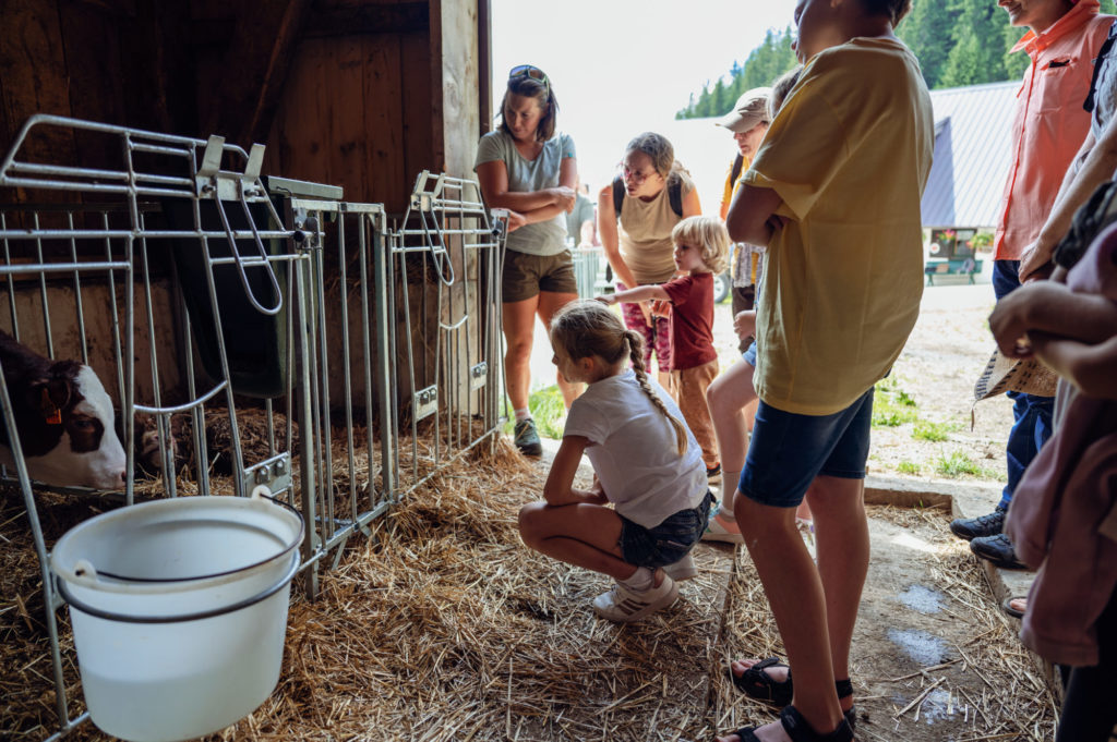En route avec notre guide Aline pour un goûter dans les alpages à la Ferme de la Barbossine - Vacances en Haute Savoie - Chatel
