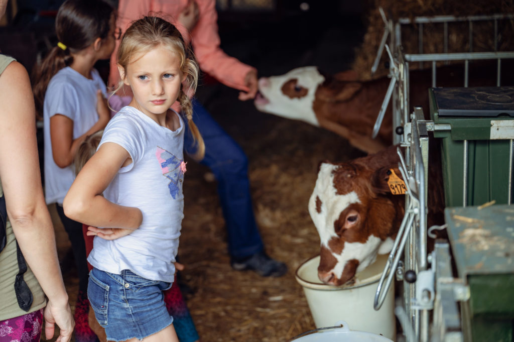 En route avec notre guide Aline pour un goûter dans les alpages à la Ferme de la Barbossine - Vacances en Haute Savoie - Chatel