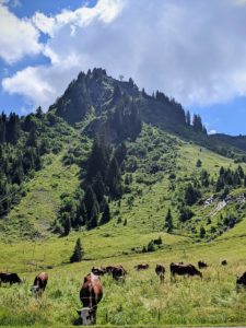 Une vue à couper le souffle près du lac de Joux Plane