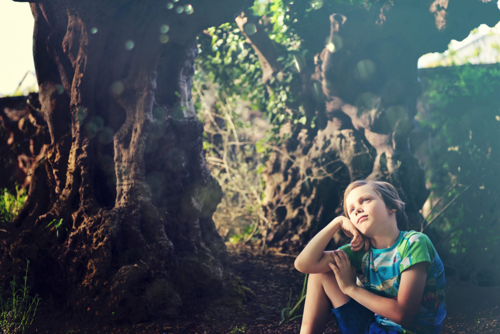 Inventer dans sa tête... Pairi Daiza, mai 2018.