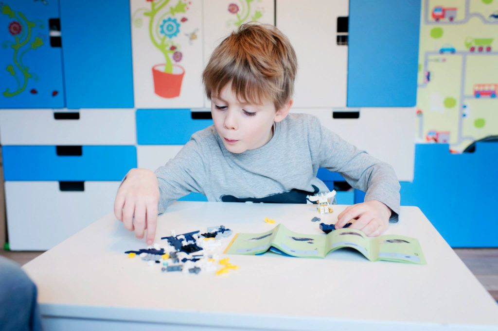 Avec le petit billet de Grand Mamy, Charly s'est acheté une boite de Lego Chima. Un genre de super-aigle que son petit personnage peut monter. Ce sera la première boite de LEGO montée entièrement par Charly en suivant le plan, une boite en principe à construire à partir de 7 ans. Effectivement, certaines pièces sont assez petites et pas si facile à emboiter, mais Charly nous a construit cela comme un chef ! -- Janvier 2015