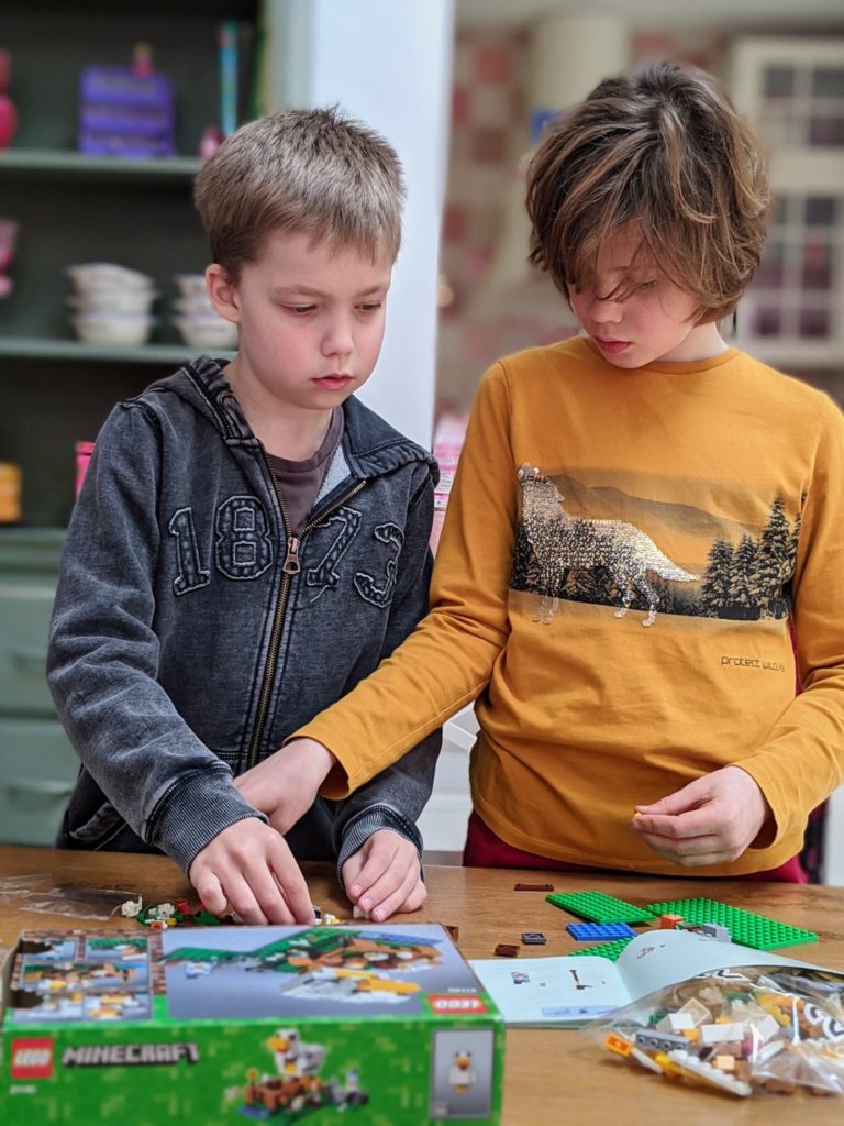 Des LEGO Minecraft ! -- Février 2020