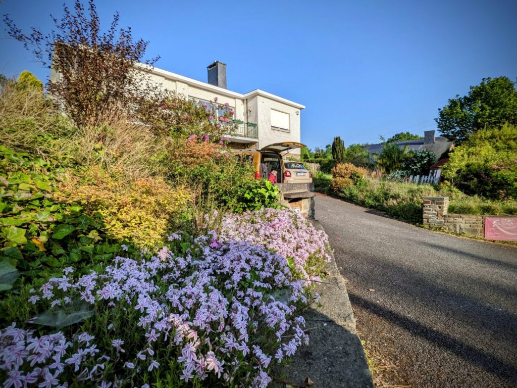 Un matin de mai, quand le soleil ☀️ est là :))
