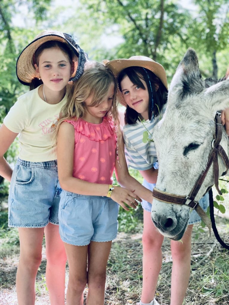 Promenade en Famille accompagné d'un âne - Carab'âne #Arèche2023
