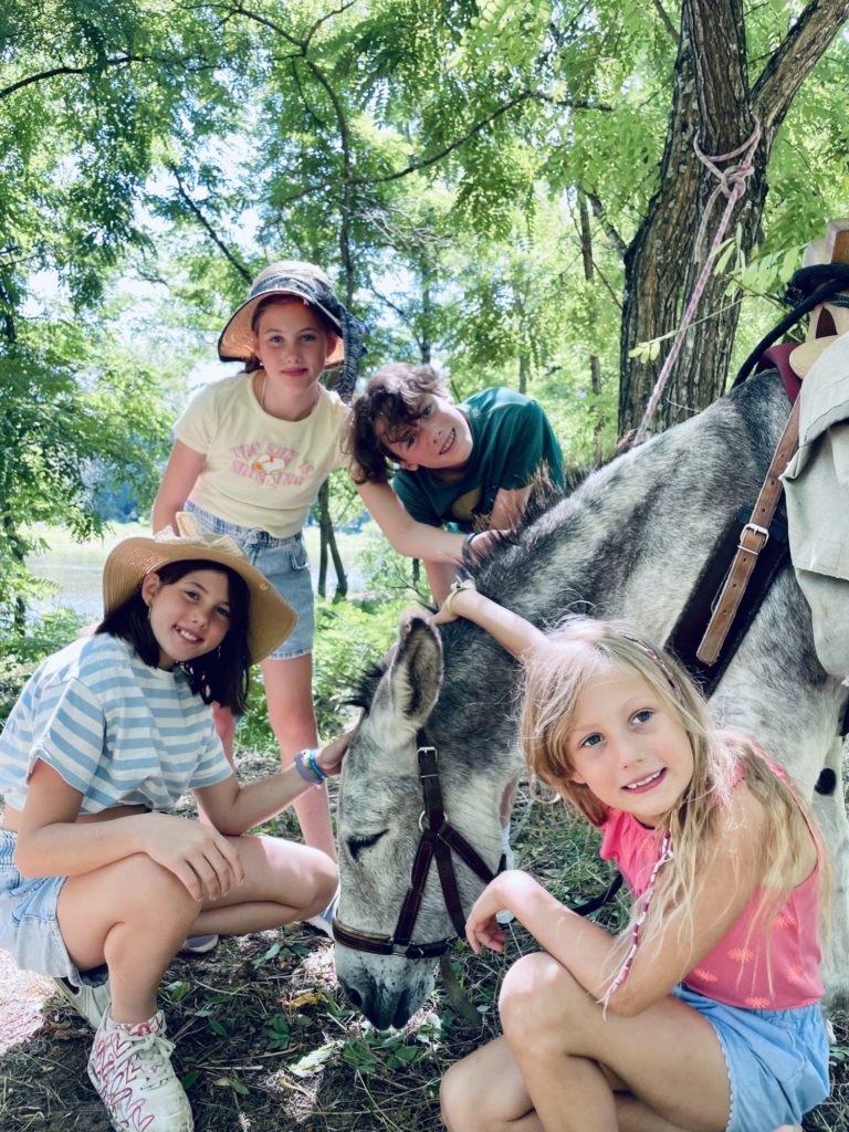Promenade en Famille accompagné d'un âne - Carab'âne #Arèche2023
