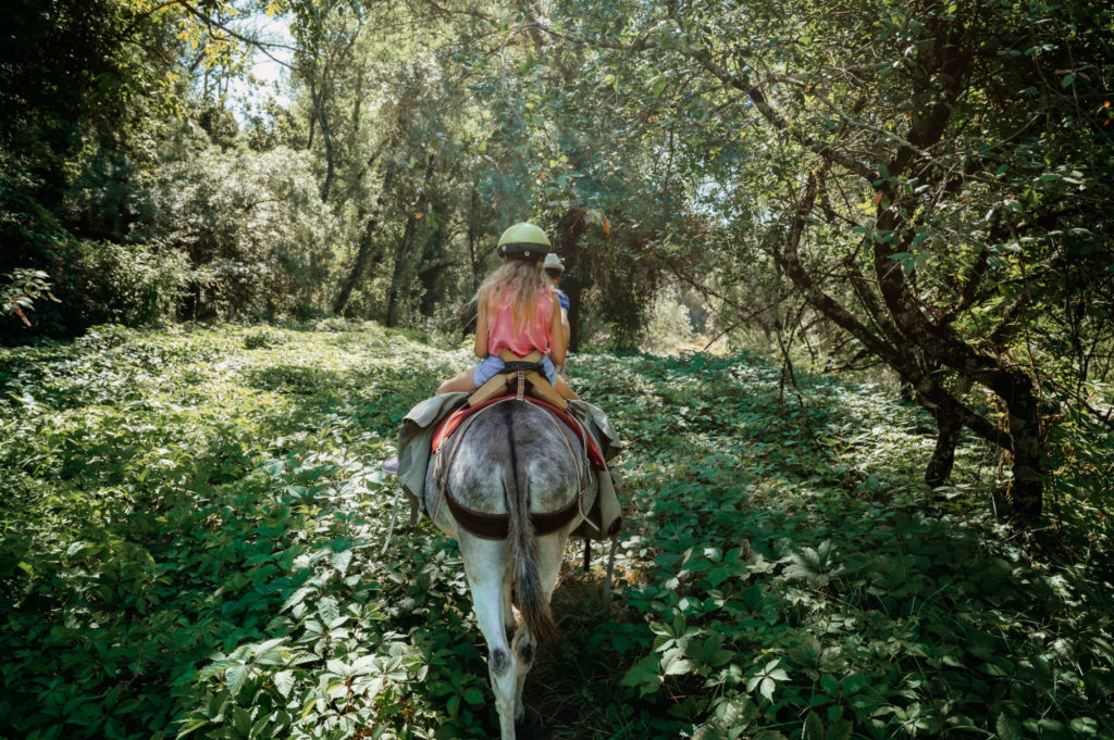 Promenade en Famille accompagné d'un âne - Carab'âne #Arèche2023