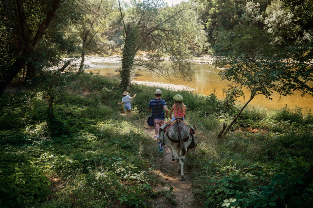 Promenade en Famille accompagné d'un âne - Carab'âne #Arèche2023