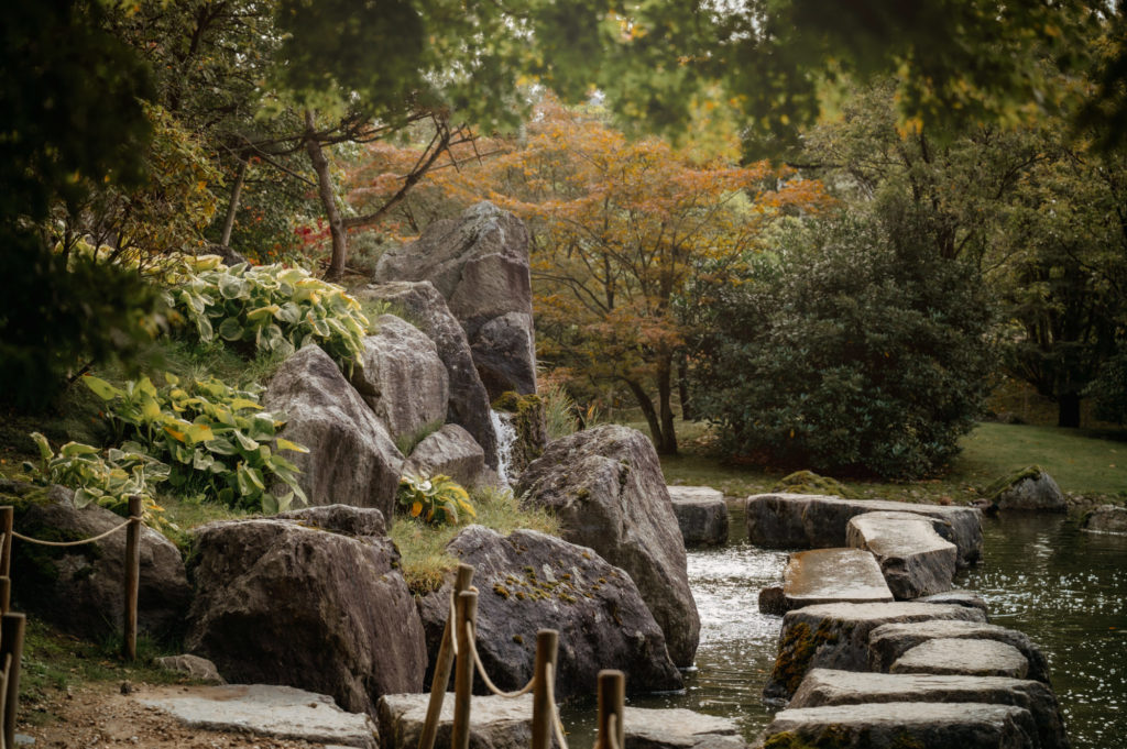 Le Jardin Japonais de Hasselt - Japanse Tuin - Petite Snorkys Photography - Quena SCS, 2023