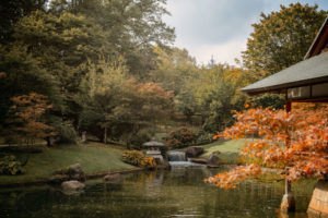 Une parenthèse au Japanse Tuin