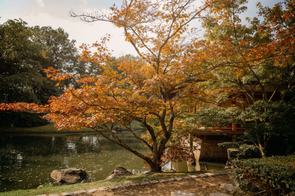 Le Jardin Japonais de Hasselt - Japanse Tuin - Petite Snorkys Photography - Quena SCS, 2023