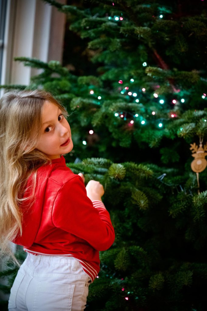 On installe le sapin de Noël en famille, 2023