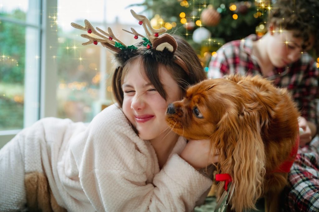 Goodbye Christmas // Noël c'est bien fini... -- PetiteSnorkys Photography