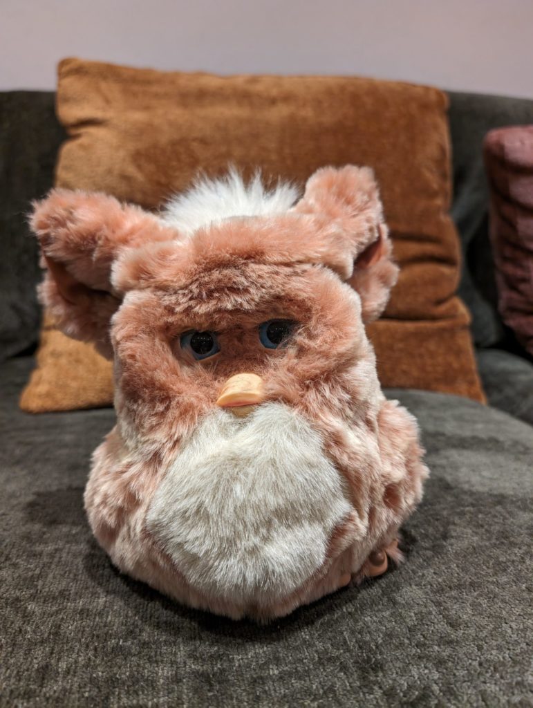 pxl 20240102 175427185